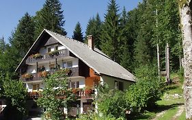 Accommodation Destina, Lake Bohinj